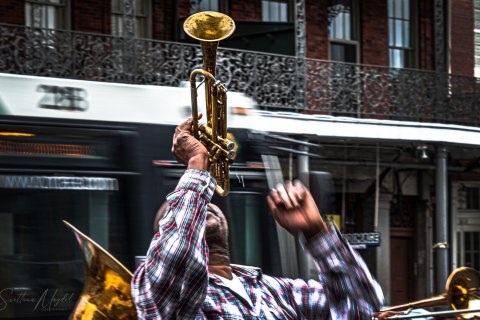 Louisiana, New Orleans, USA - Landscape, Nature and Cityscape Photography - Svetlana Magdel  Photography
