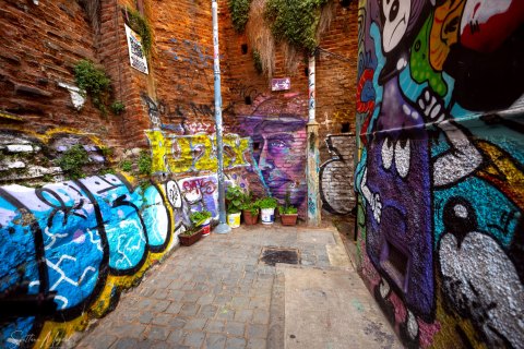 1_VALP_SVM1763 
Chile, Valparaiso 
October 2023
Street  art, murals 