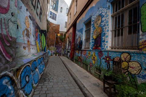 VALP_SVM1767 
Chile, Valparaiso 
October 2023
Street  art, murals 