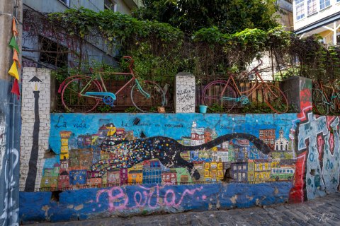 VALP_SVM1813 
Chile, Valparaiso 
October 2023
Street  art, murals 