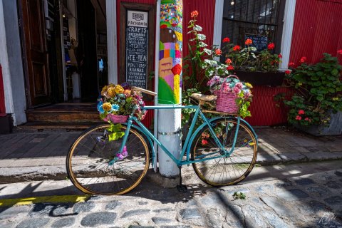 VALP_SVM1832 
Chile, Valparaiso 
October 2023
Street  art, murals 