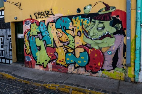 VALP_SVM1852 
Chile, Valparaiso 
October 2023
Street murals 