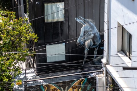 VALP_SVM1897 
Chile, Valparaiso 
October 2023
Street murals 