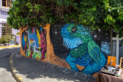 VALP_SVM1912 
Chile, Valparaiso 
October 2023
Street murals 