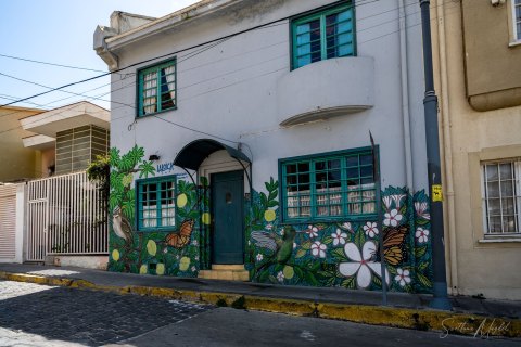 VALP_SVM1920 
Chile, Valparaiso 
October 2023
Street murals 