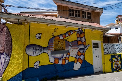 VALP_SVM1943 
Chile, Valparaiso 
October 2023
Street  art, murals 