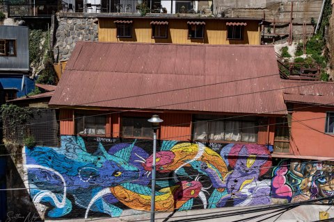 VALP_SVM1947 
Chile, Valparaiso 
October 2023
Street murals 