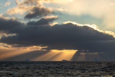 South Georgia, Sea and Landscapes - Landscape, Nature and Cityscape Photography - Svetlana Magdel  Photography