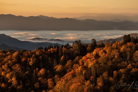 Tennessee,  Smoky Mountains,  USA - Landscape, Nature and Cityscape Photography - Svetlana Magdel  Photography
